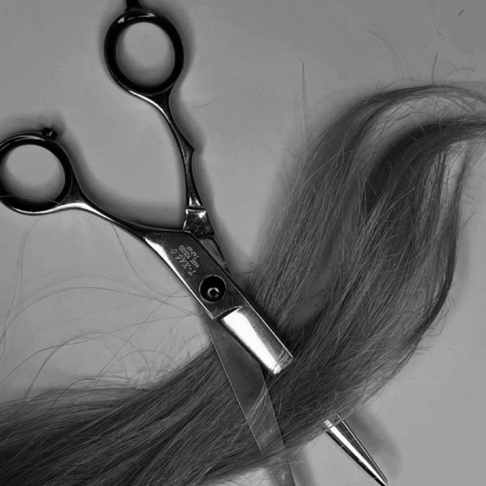 Womens Cut With Deep Condition at Styled By Tiff in Payette, ID