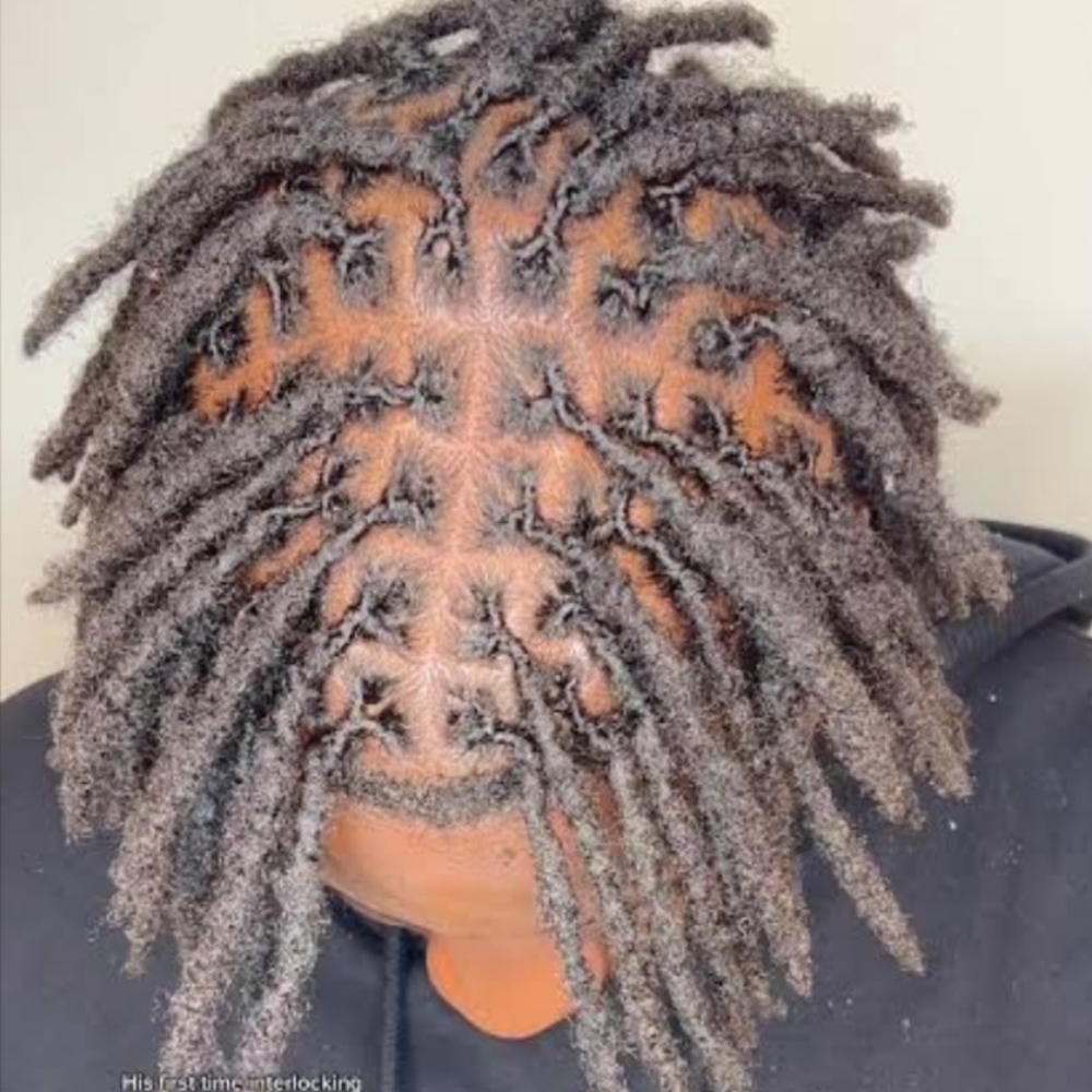 Interlocking Locs