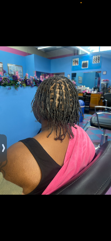Starter Locs