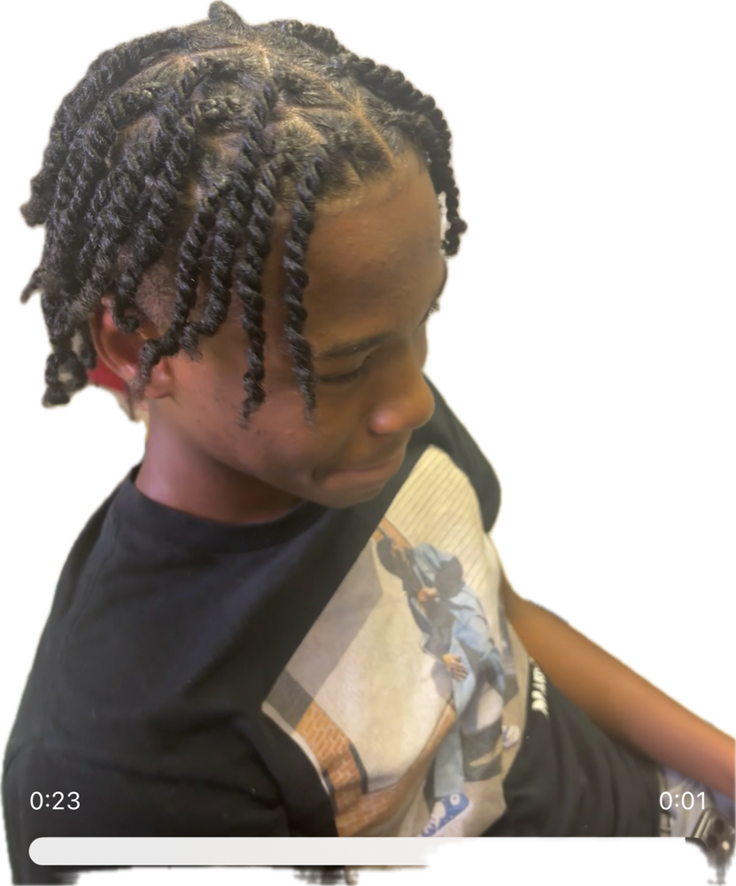 Two Strand Twist /plaits
