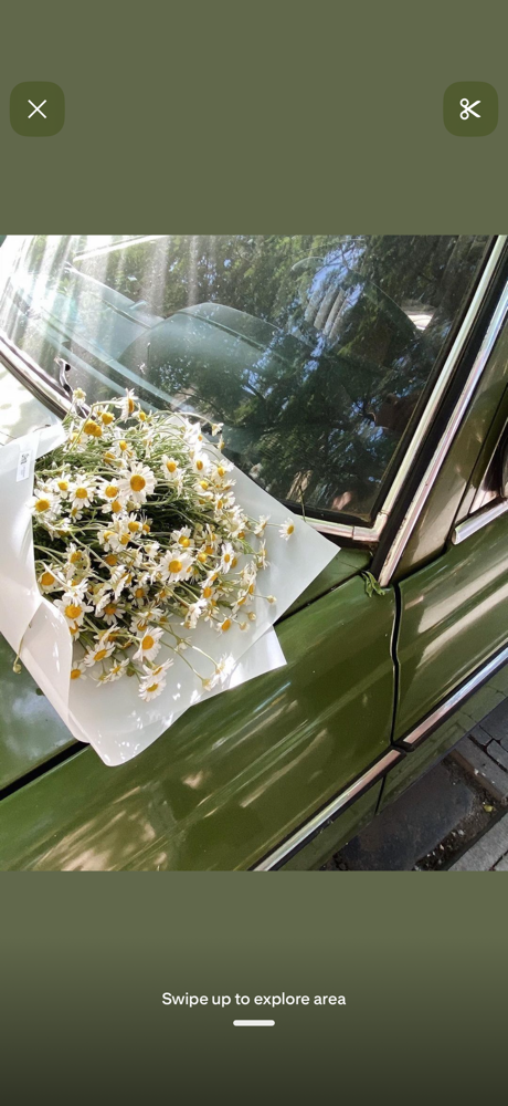 Balayage + Haircut at Tessa Little - Harlow in Johnson City, TN