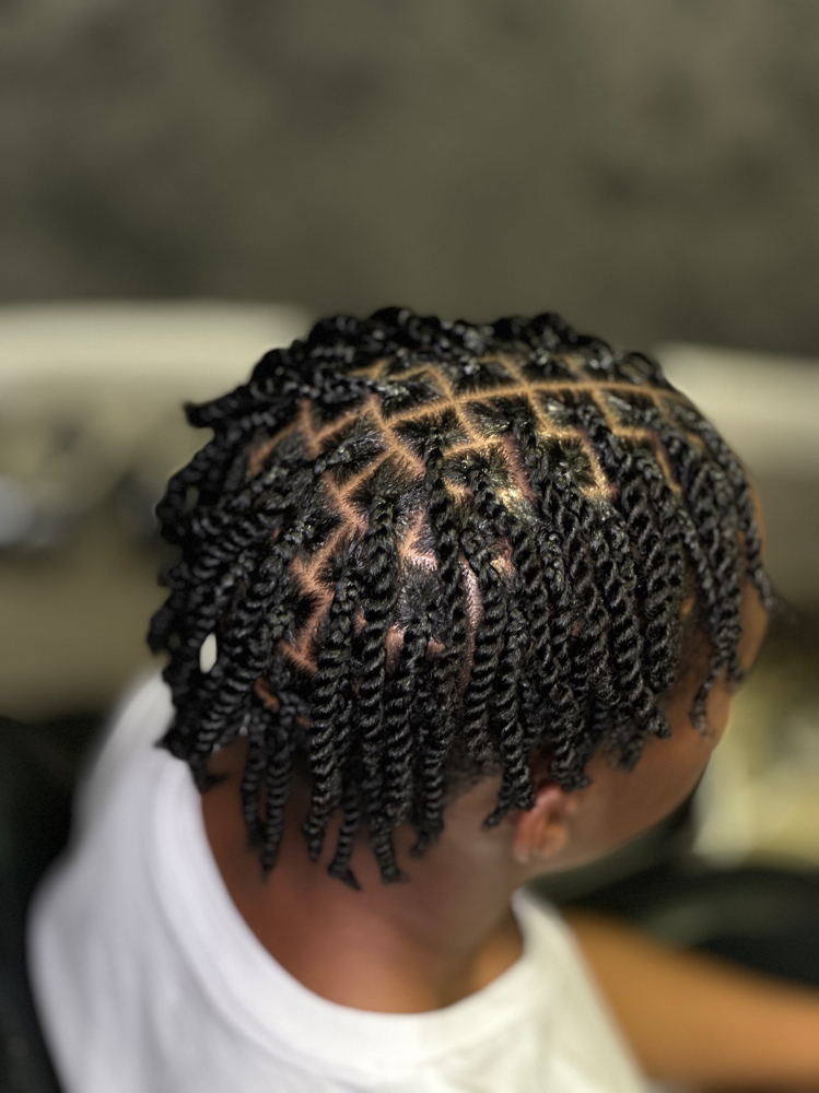 Plaits/Two Strand