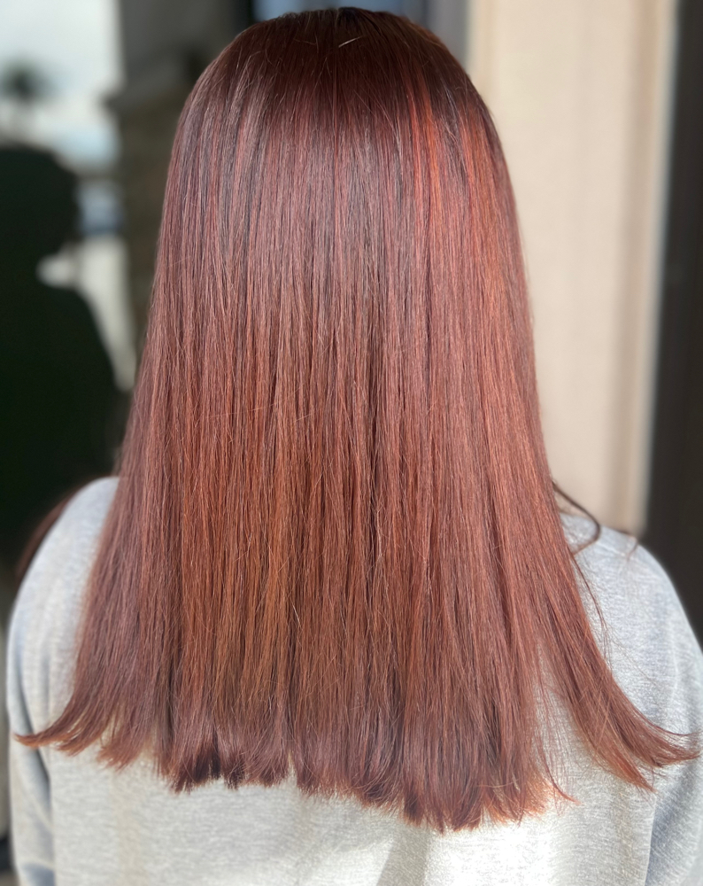 Womens Haircut & Style