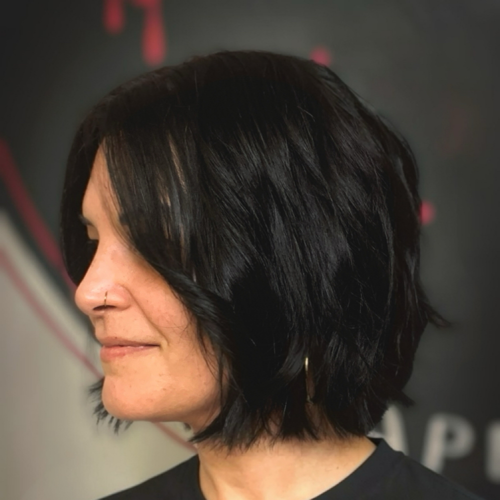 Dry Cut at The Electric Chair Hair Studio in Cape Coral, FL
