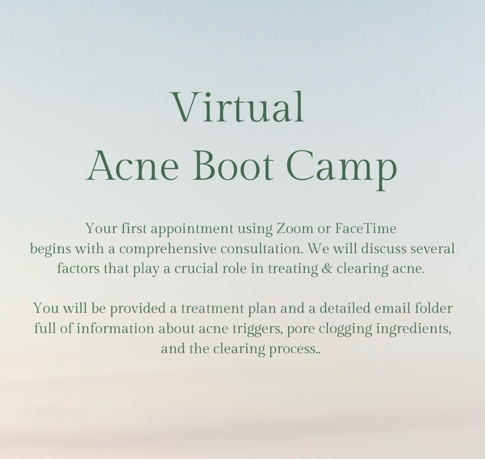 Face Reality Virtual Acne Boot Camp