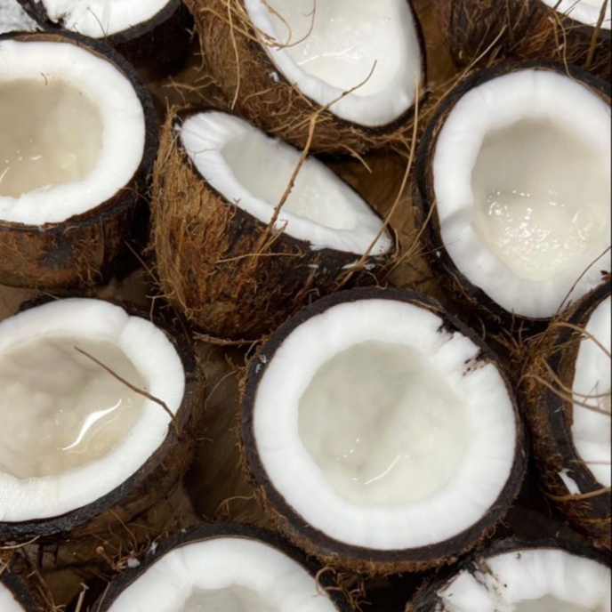 Coconut Scent at Hoosier Bronze Co. | Indiana Spray Tans