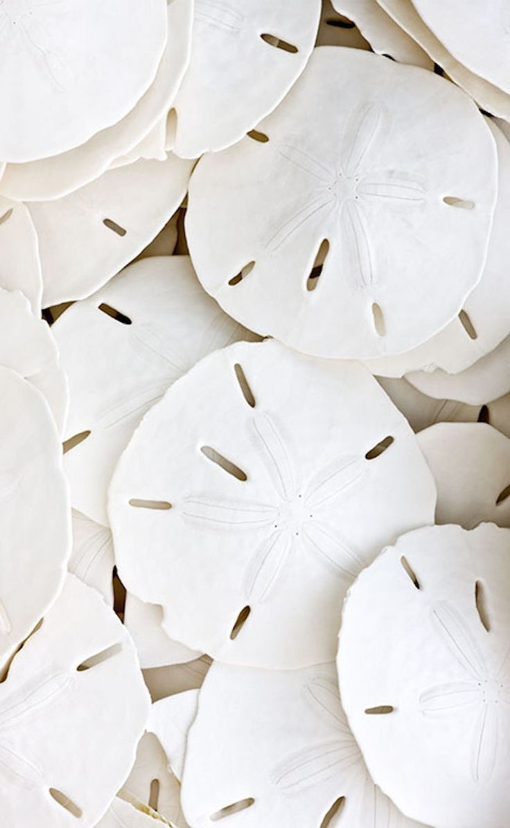 Deep Conditioning Treatment