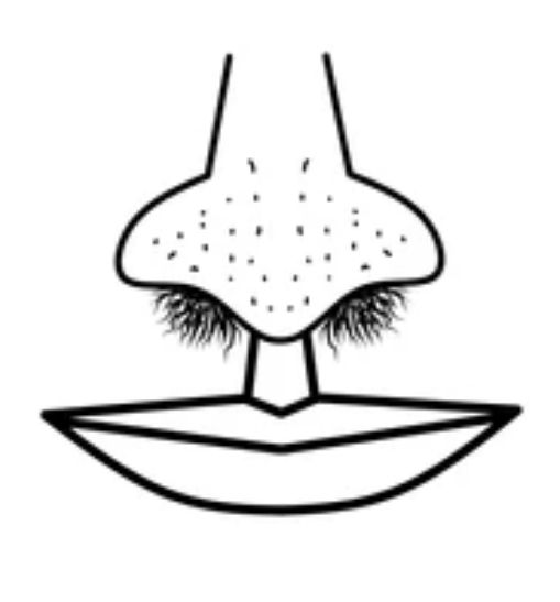 Nose Waxing