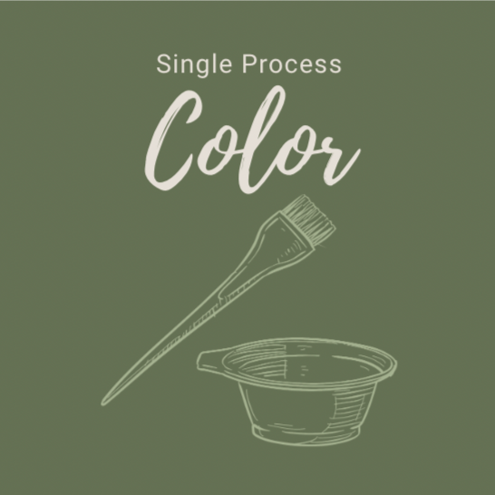 Single Process Color at Beloved Beauty Company in Springfield, MO