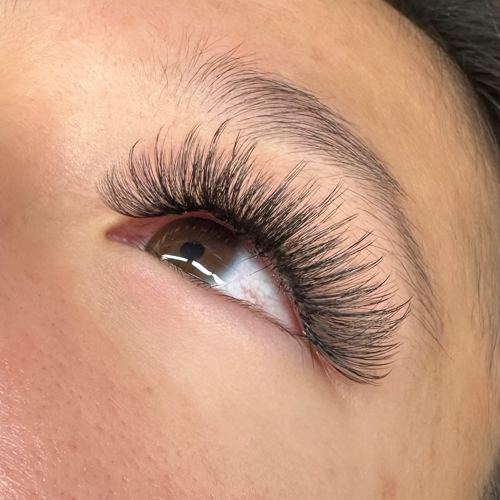 "Volume" Regular Fill