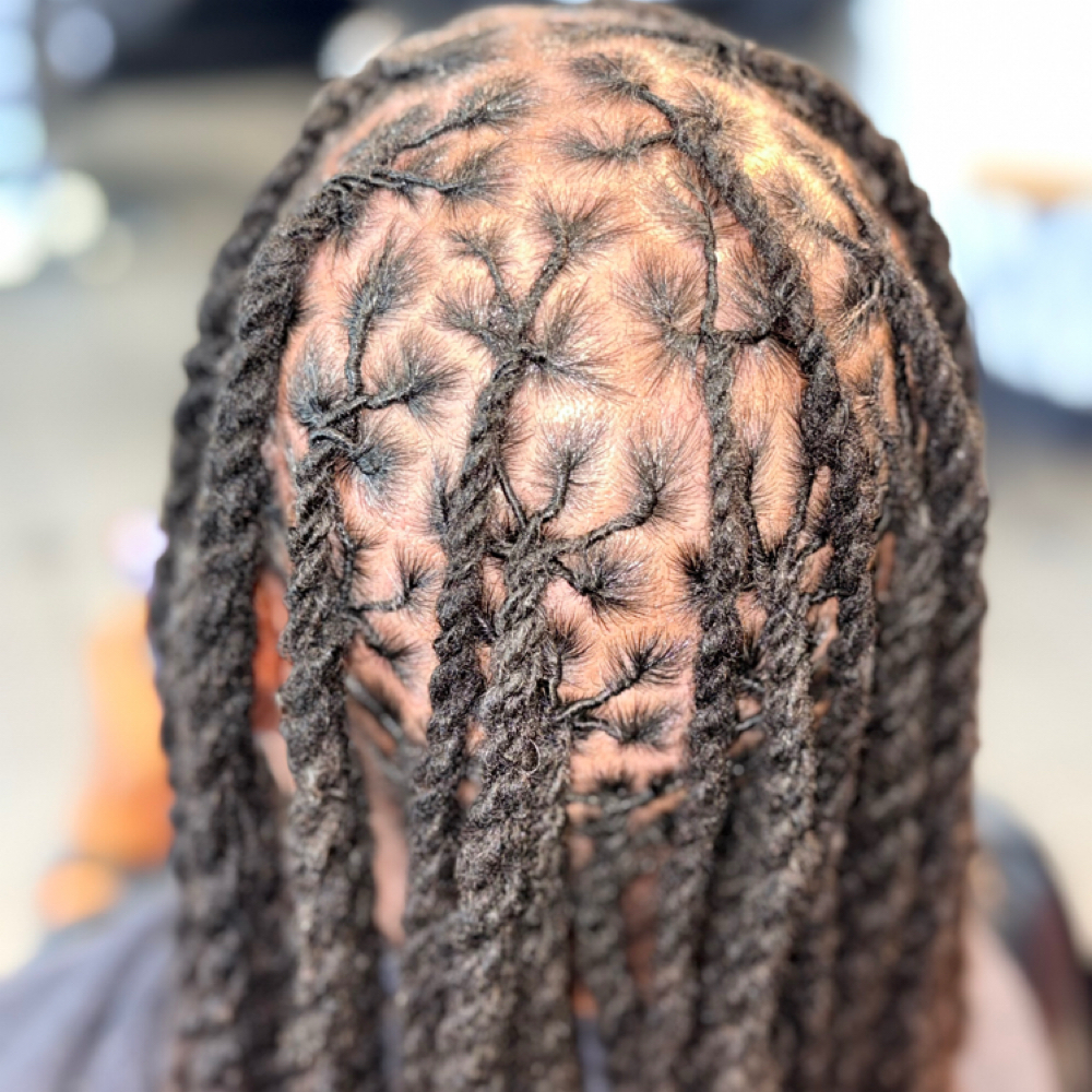76-100 Locs Retwist & Style at LASHDAE of Roots To Royalty Studio in Phoenix, AZ
