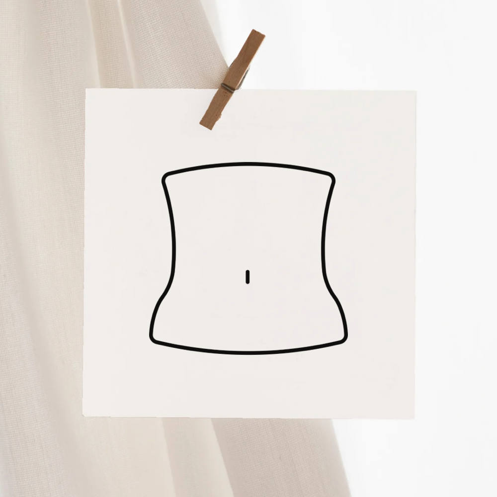 Stomach(Full)