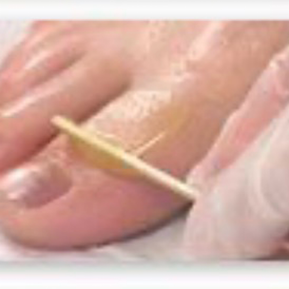 Pointers & Piggys at Bare Babes Waxing Bar in Sodus, NY
