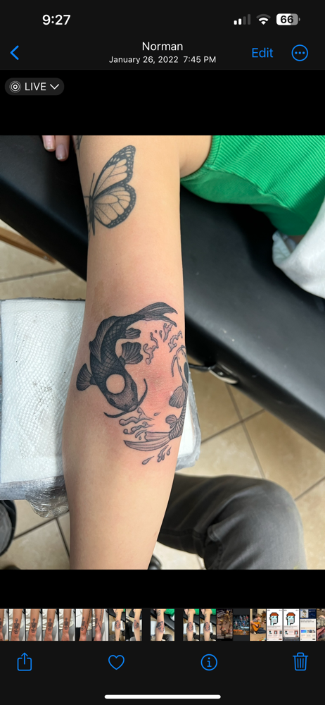 Cover Up • Small