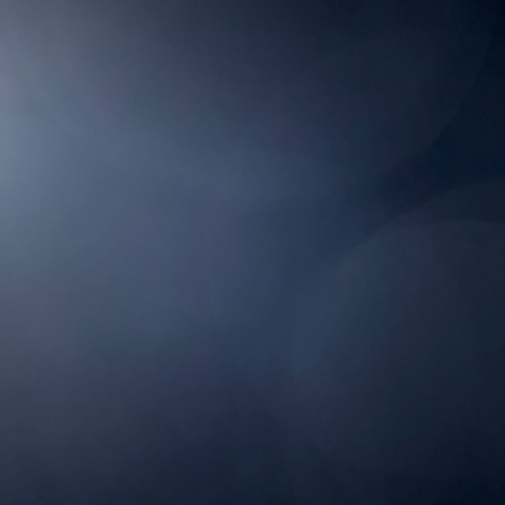 Brow Tweeze & Brow Tint (No Wax) at THE ESTHETIC STANDARD in La Jolla, CA