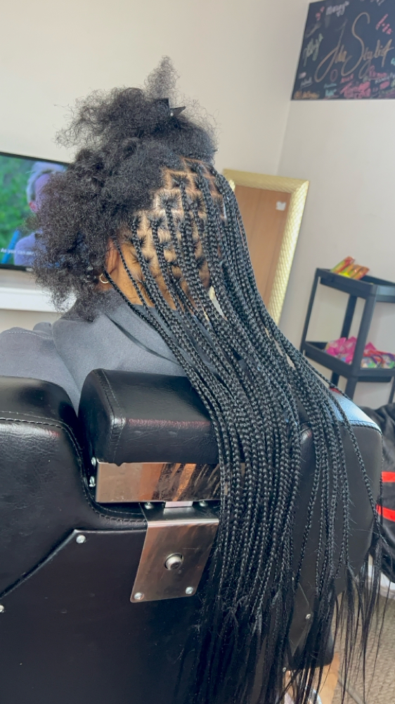 Waist-Length Small Knotless Briads