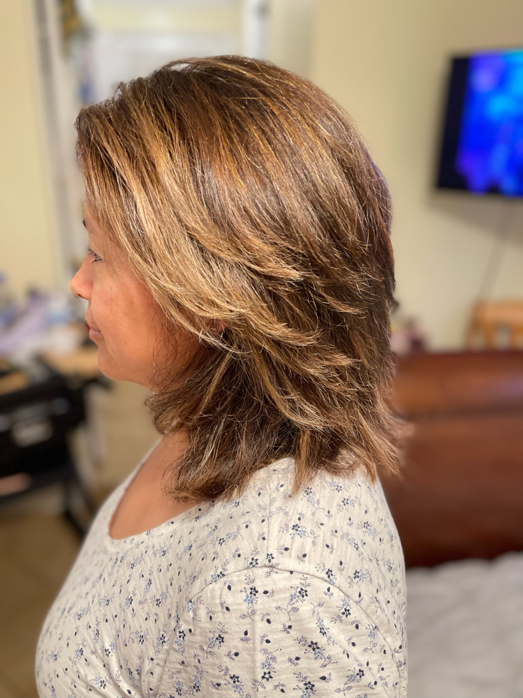 New Client discount Color Service at Blue Iris Mobile Hairstylist in Raleigh, NC