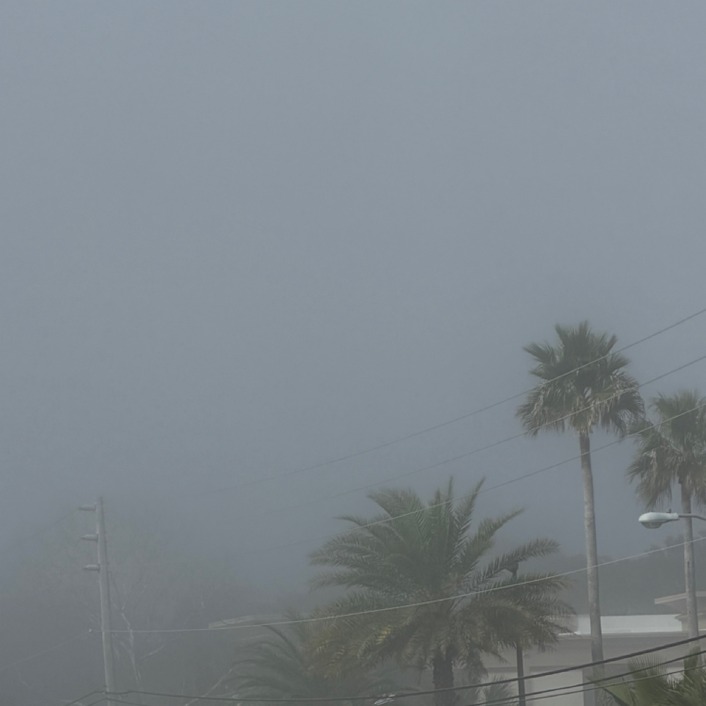 Haircut + Premium Scalp Therapy at WavyBlendzBarbering in Fernandina Beach, FL