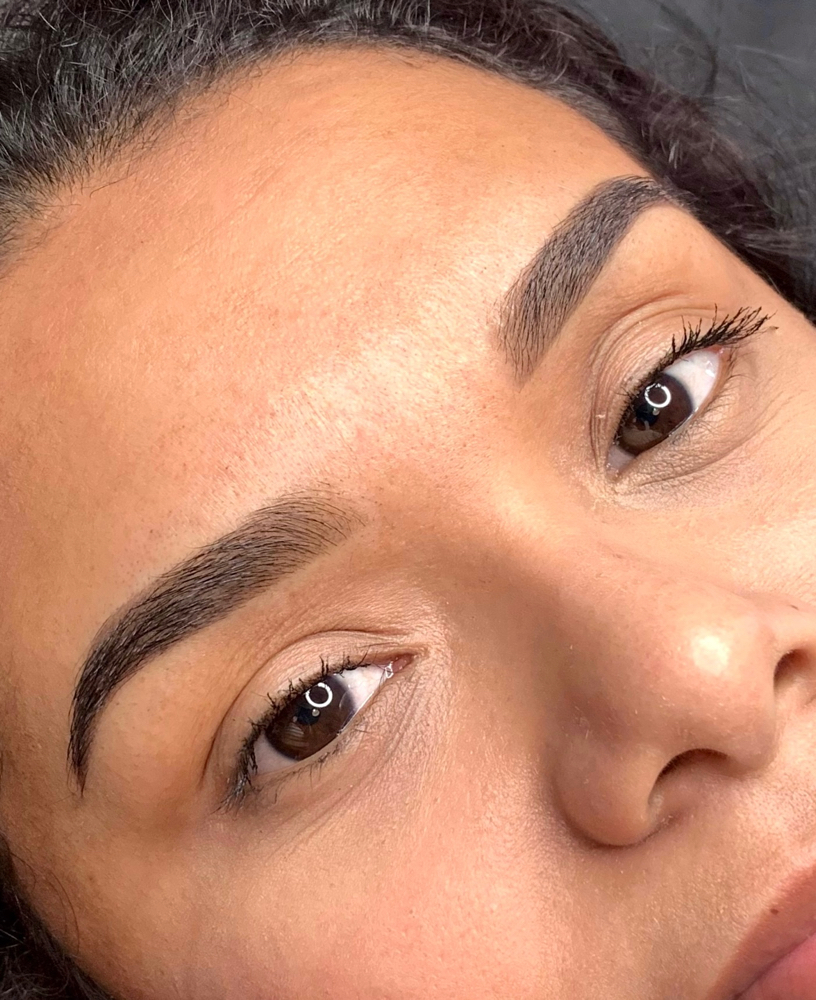 Ombre Powder Brow First Session