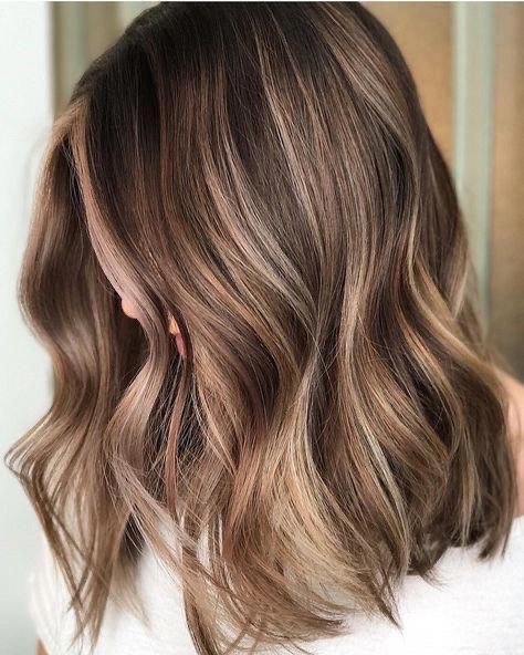 Color, Partial Highlight, Haircut