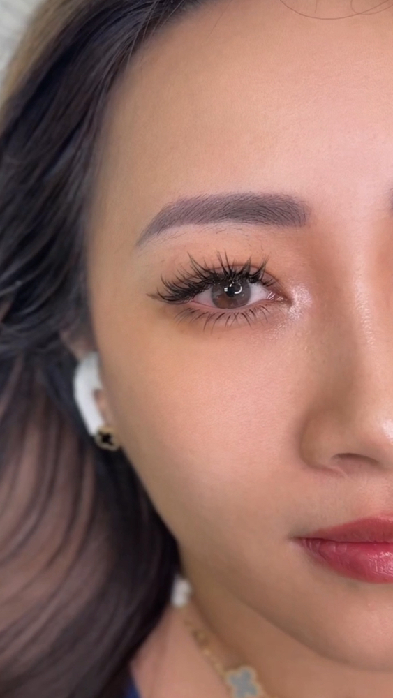Bottom Lash