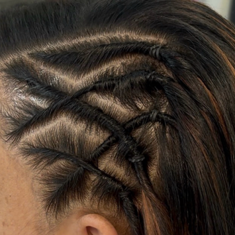 Small Twist Style /braid at Serenity Hair Salon in Hamiltom, NJ