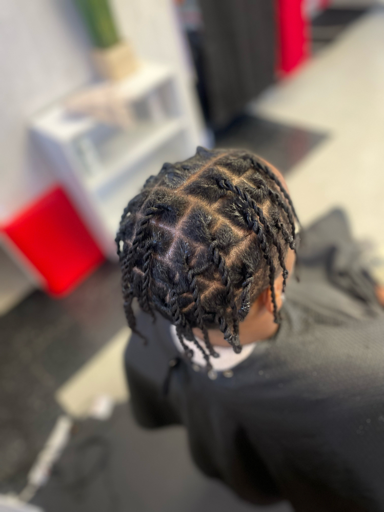 Two Strand Twist (loose Hair)