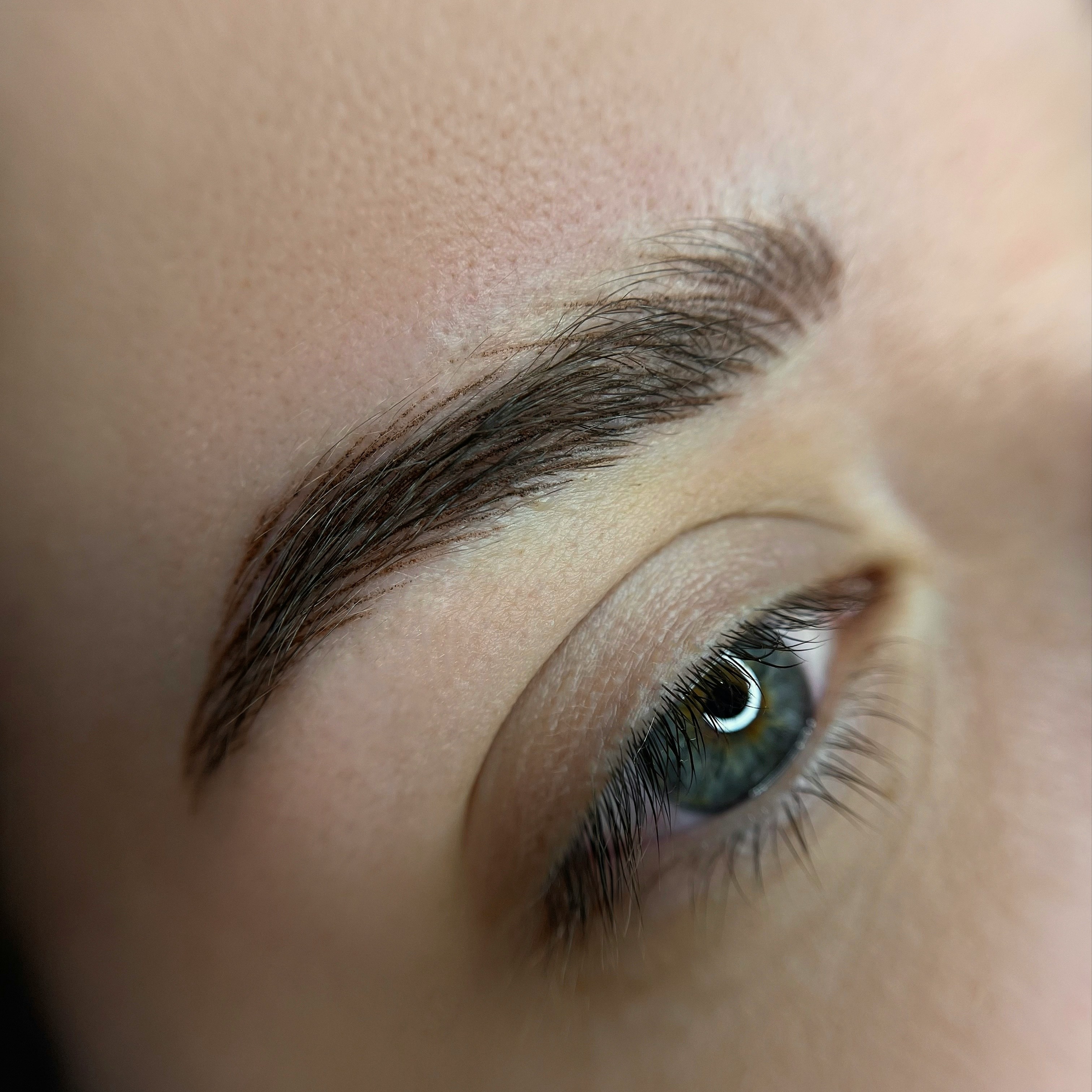 Eyebrow Tint Enhancement at Elegant Esthetics in Virginia Beach, VA