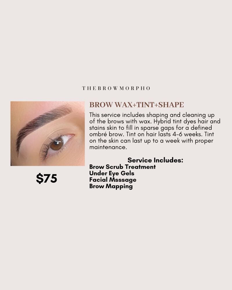 Brow Waxing+Tint+Shape