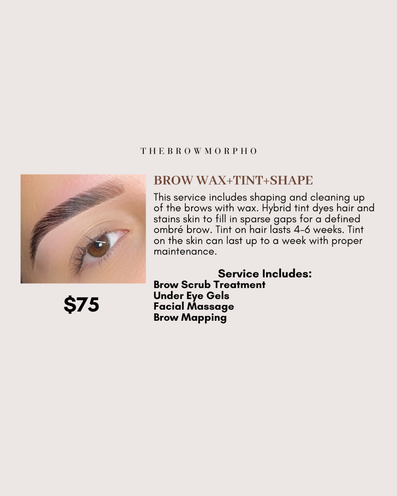 Brow Waxing+Tint+Shape