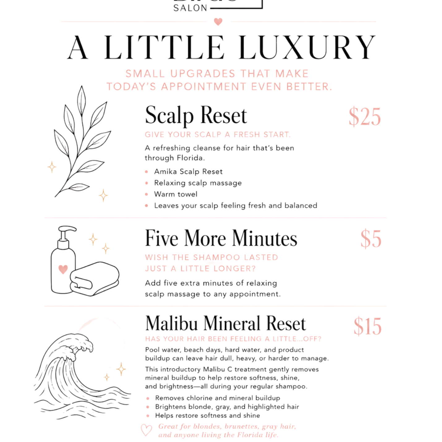 mineral reset at Pretty Bird's Salon in Tampa, FL