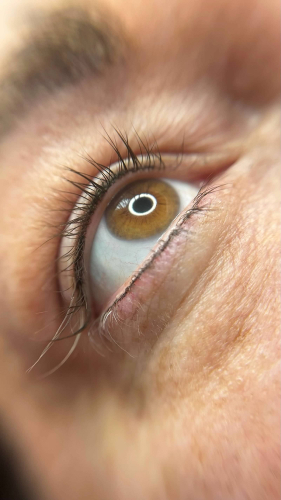 Eyeliner bottom only