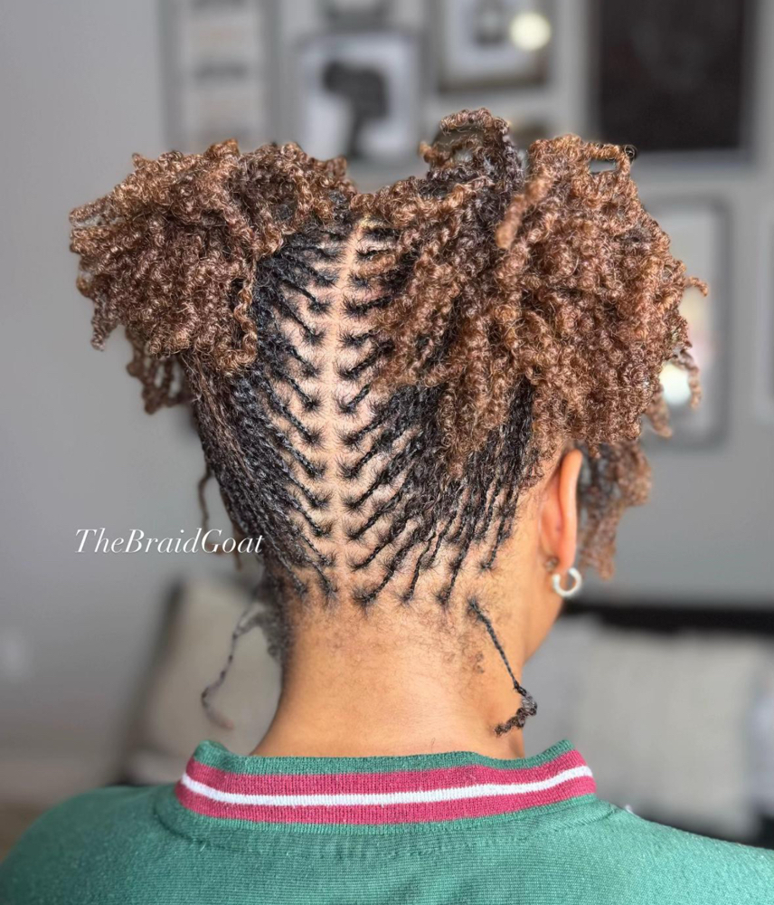 MicroLocs (Natural Hair) at Crown’D Claws in Clarksville, TN