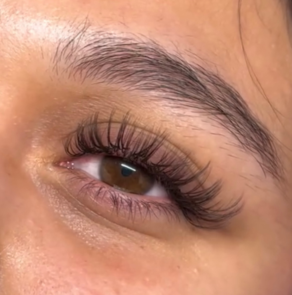 Brown Lashes