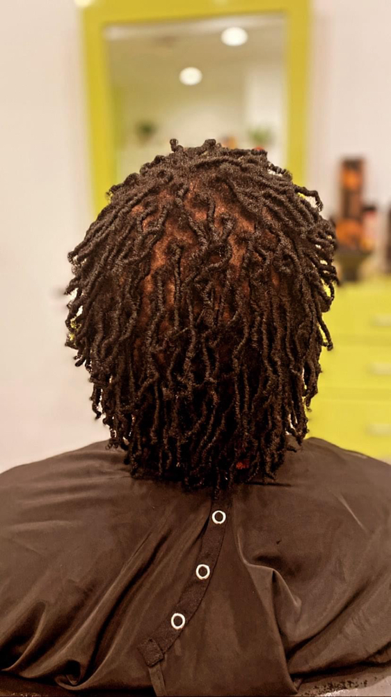 Starter Locs (Natural Hair to Locs)