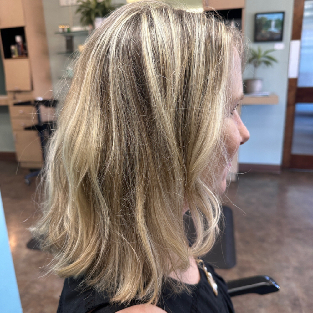Partial Highlight/Cut at Pret-a-Porter Salon @ Corva Studio in La Mesa, CA