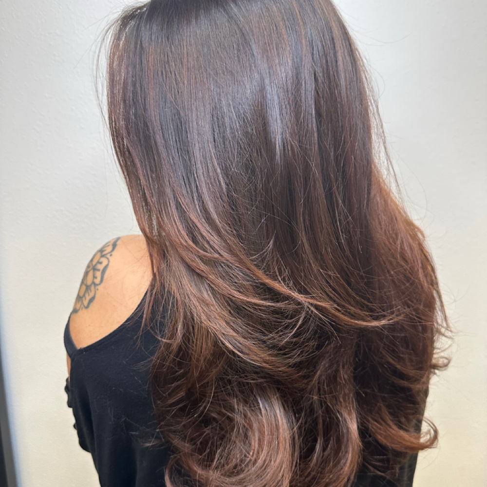 Root Retouch With Gloss Refresh at Palace Hair Studio in Fayetteville, AR