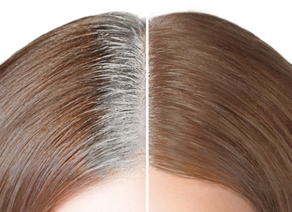 Root Touch Up/Haircut