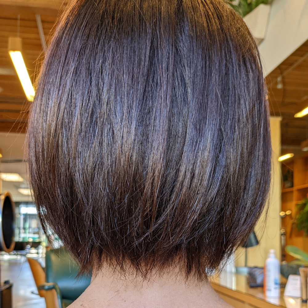 Color Application at Jenna Bates in Cleveland, OH