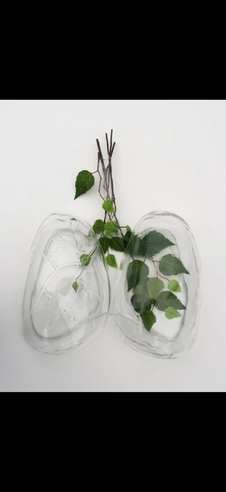 Oxygen Booster Add-On