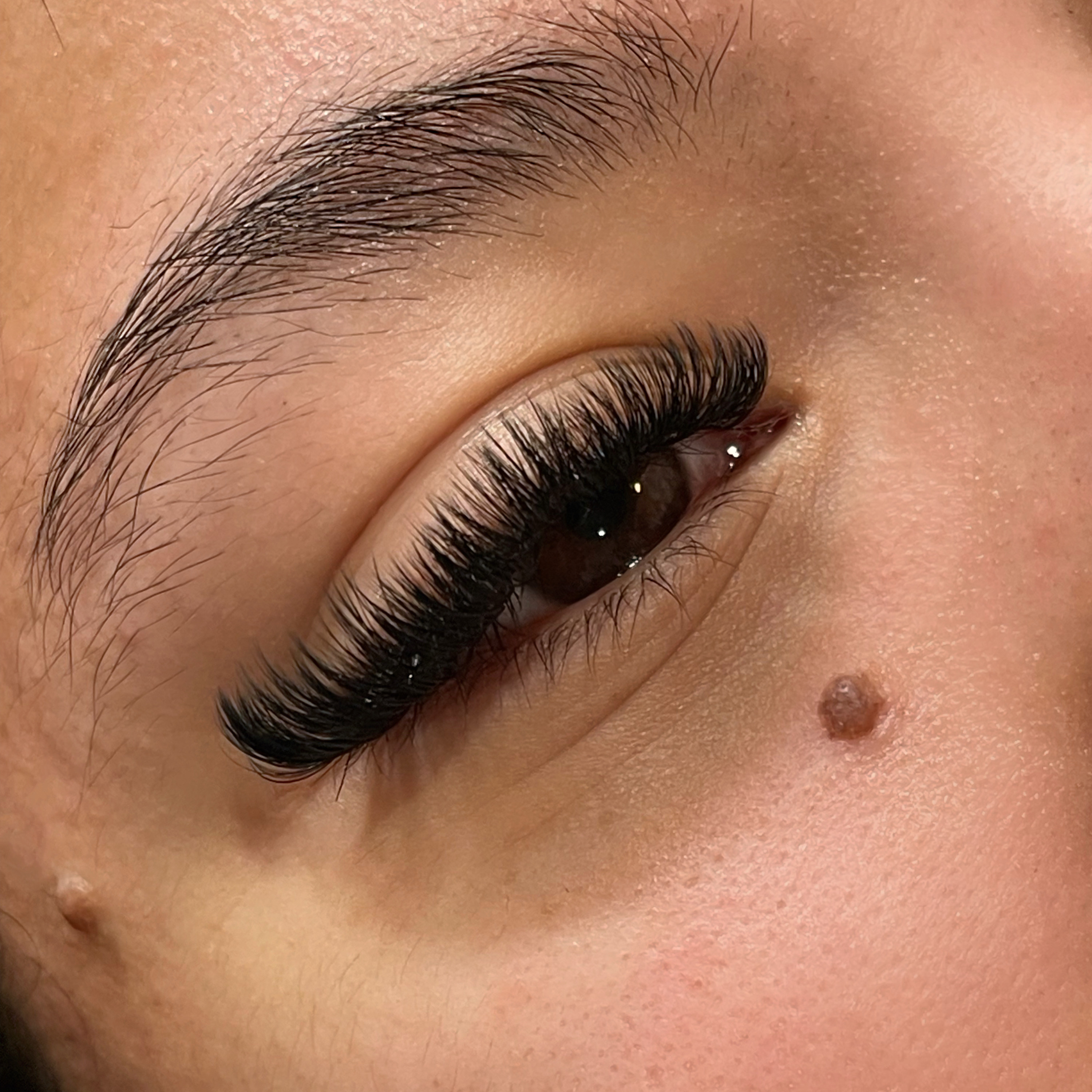 Volume-Three week refill at Black Swan Lash Studio in Houston, TX