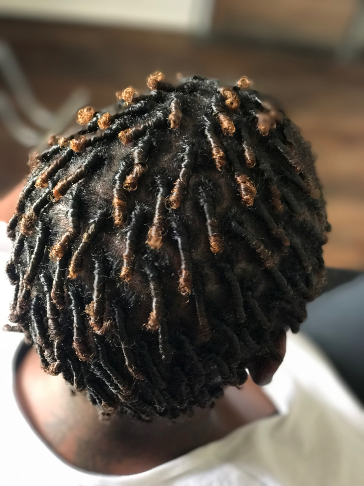 Starter Locs