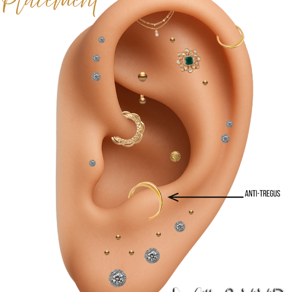 Anti Tregus / Snug at Grand Junction Piercing Studio by MiLK & ViViD in Grand Junction, CO