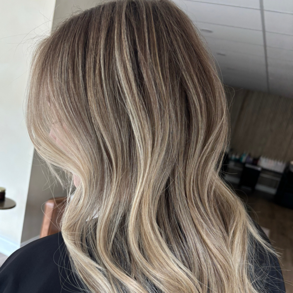 Partial Highlight at Dakota Beach Gölden Salon & Co. in Plymouth, MI