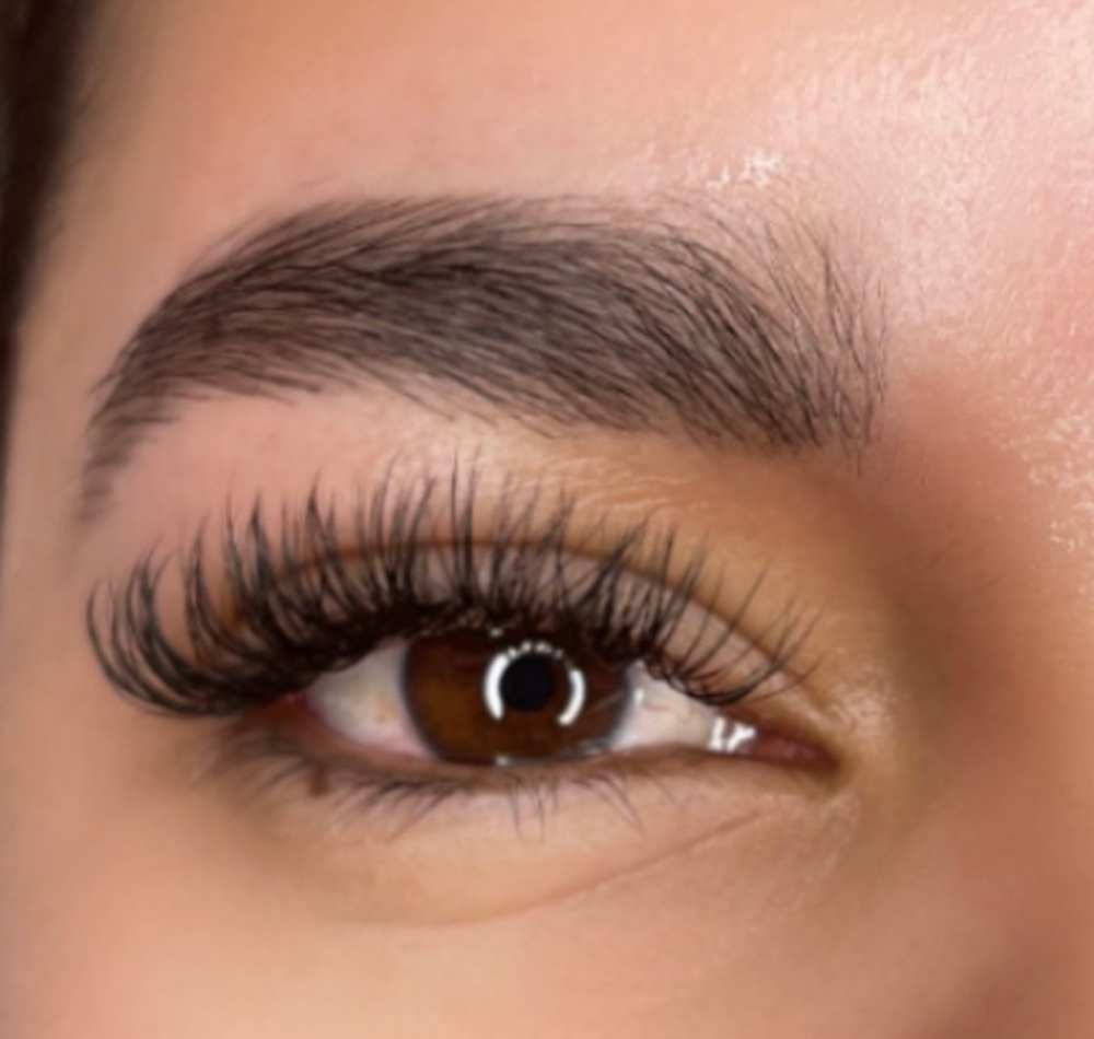 Volume Eyelash Extension