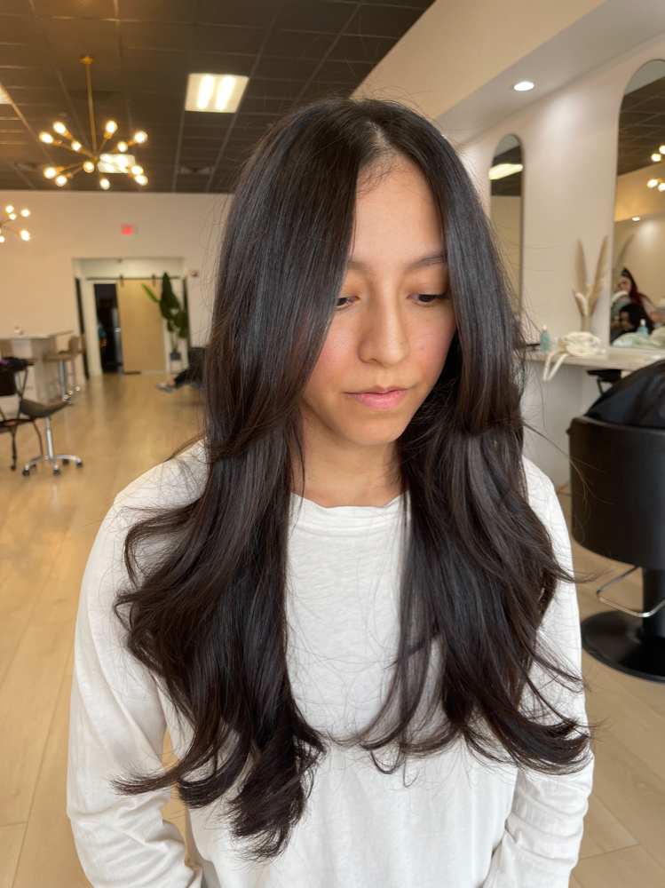 Womens Dry Haircut