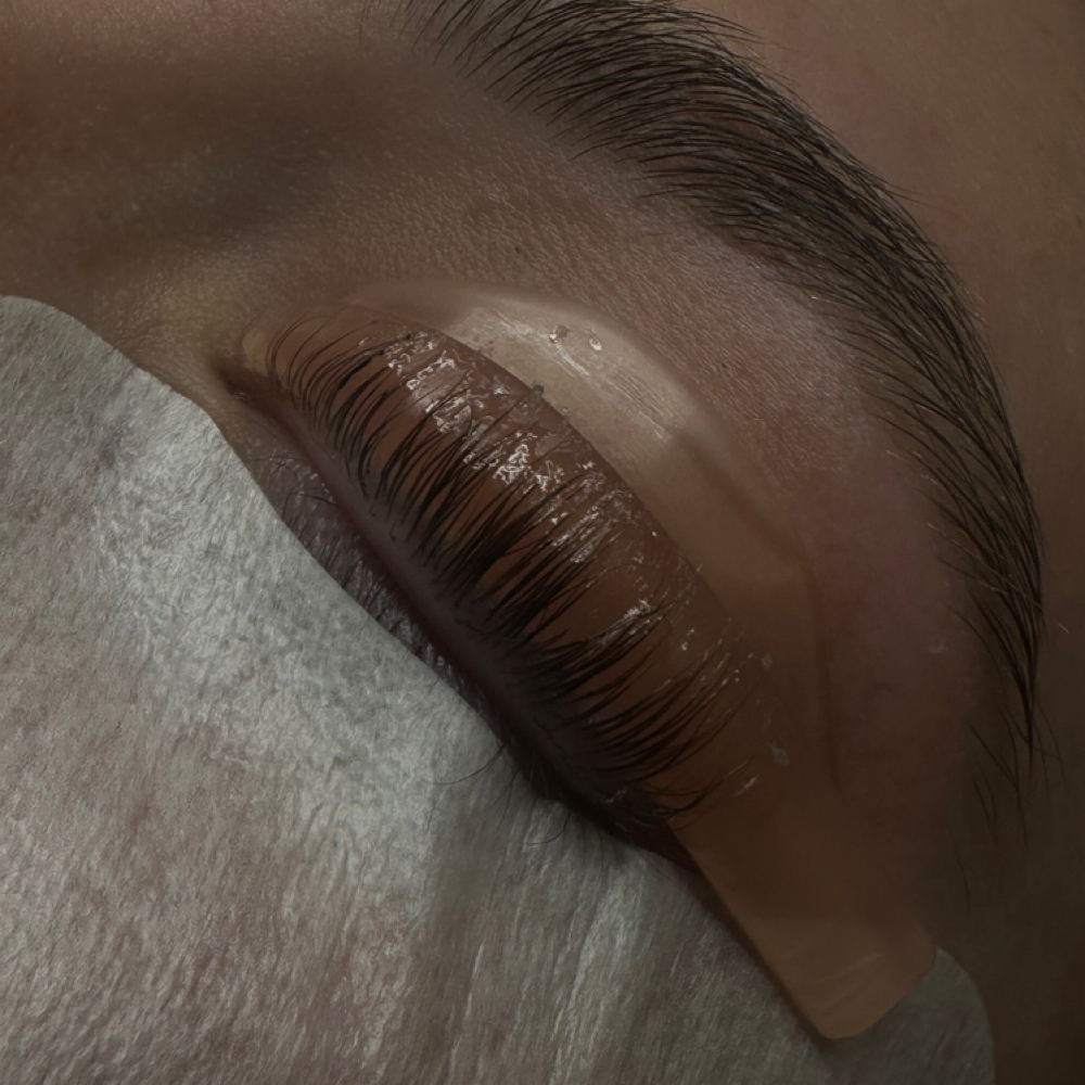 Lash Lift at Cleanse and Clarify with Carly in Florence, AL