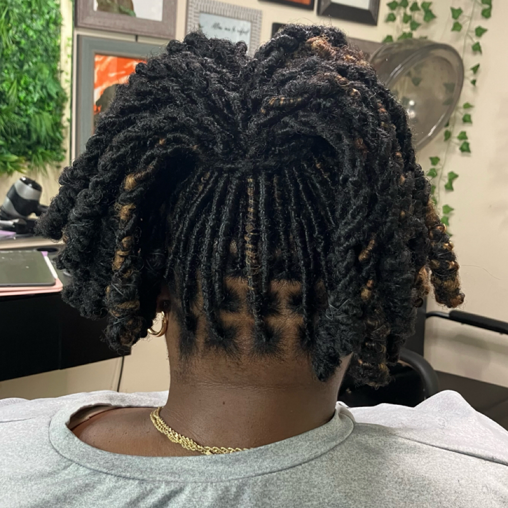 Soft Locs at The LOC Spot in Buffalo, NY