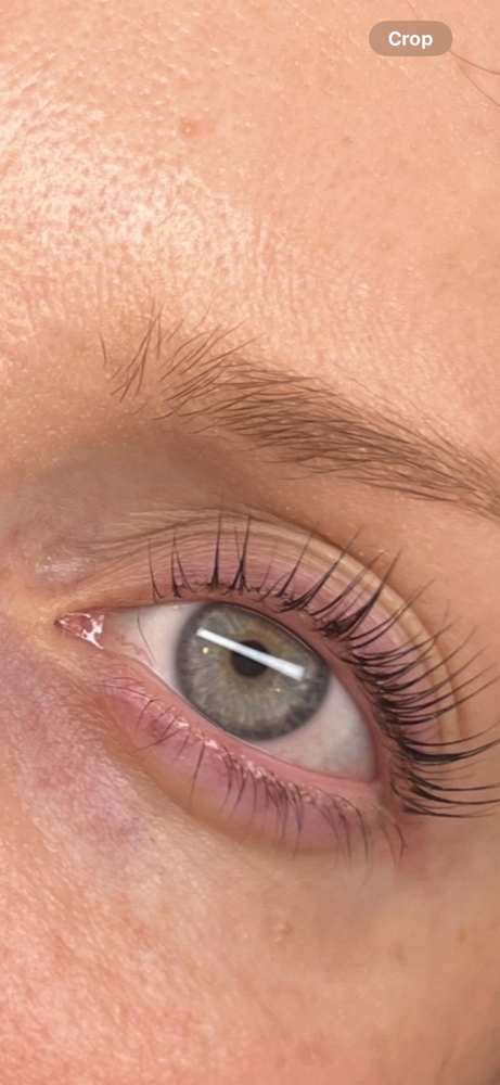 Lash Lift & Tint