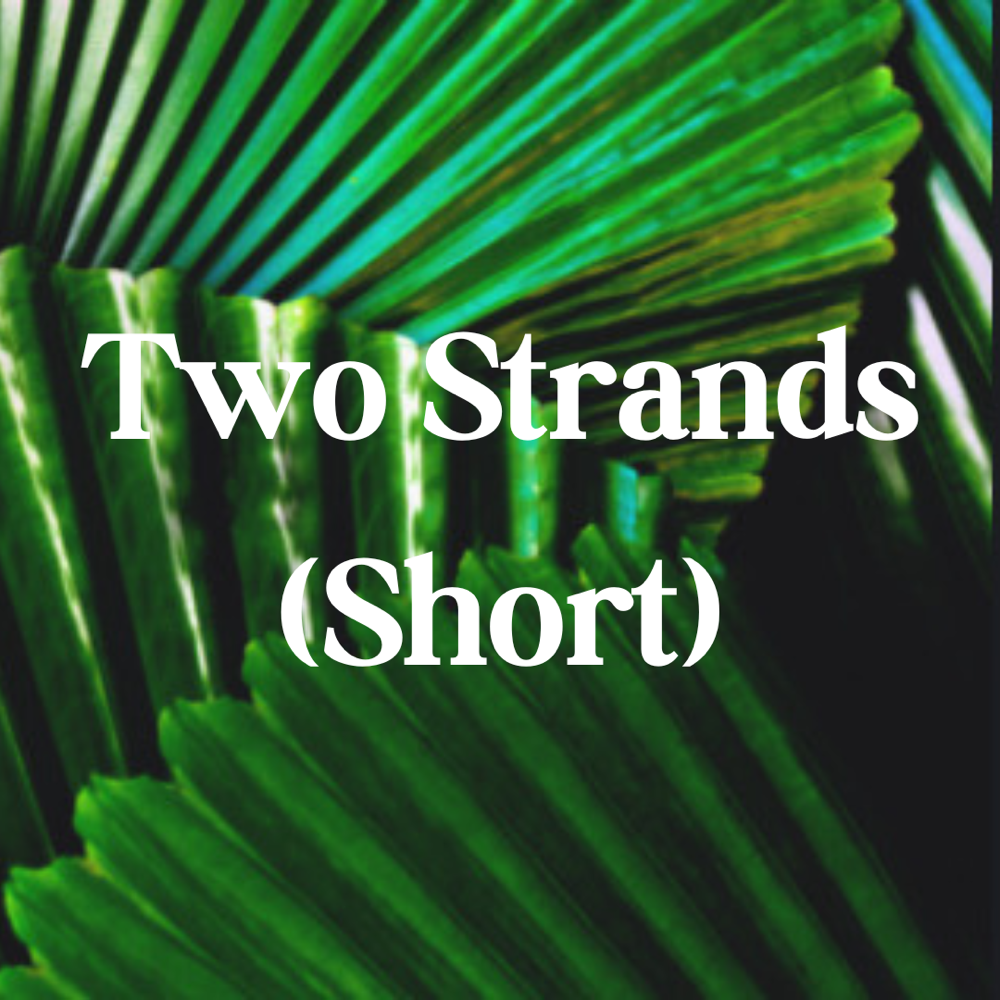 Two Strands - Short Locs